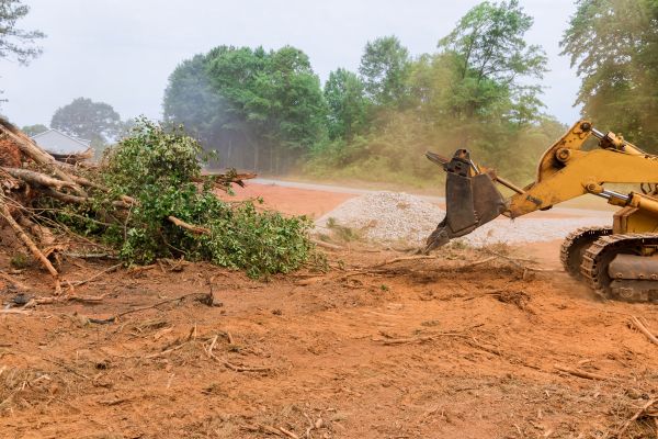 Ground Clearing in San Ramon