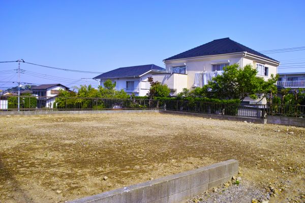 Cost of Lot Clearing Service in San Ramon