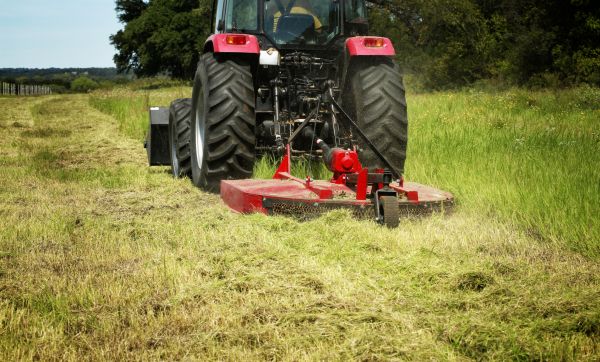 Brush Clearing Service in San Ramon