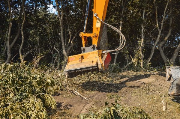 Brush Removal Service in San Ramon