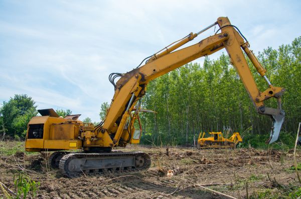 Cost of Farm Clearing in San Ramon