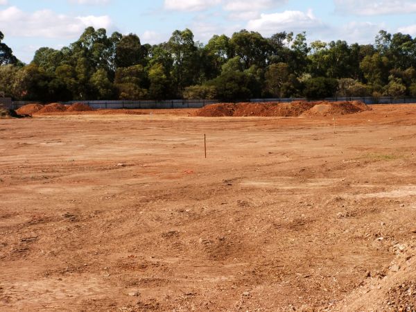 Cost of Field Clearing in San Ramon