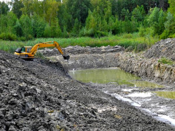 Cost of Lake Lot Clearing in San Ramon