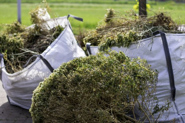 Cost of Bushes Clearing in San Ramon