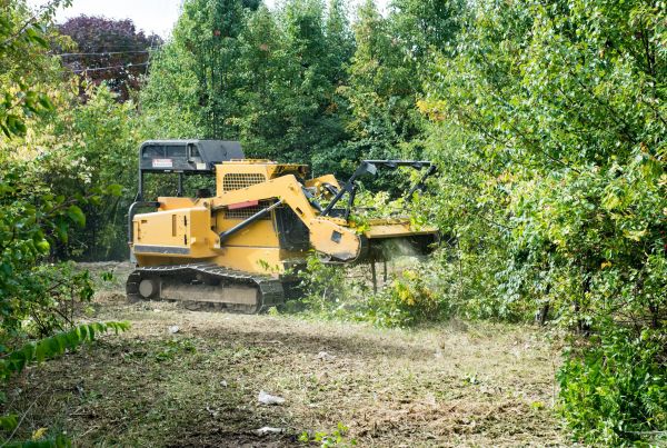 Cost of Pathway Clearing in San Ramon