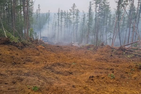 Cost of Hill Clearing in San Ramon