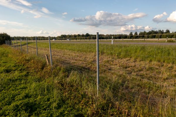 Cost of Property Line Clearing in San Ramon