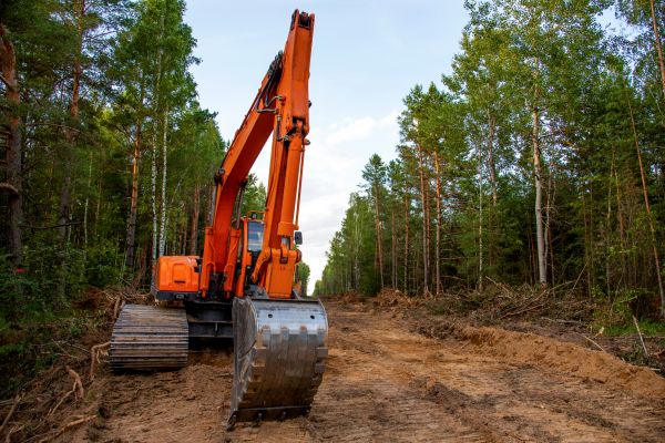 Cost of Backhoe Land Clearing in San Ramon