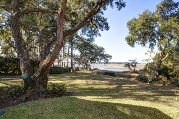 Cost of Lakefront Property Clearing in San Ramon