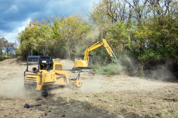 Cost of Terrain Clearing in San Ramon
