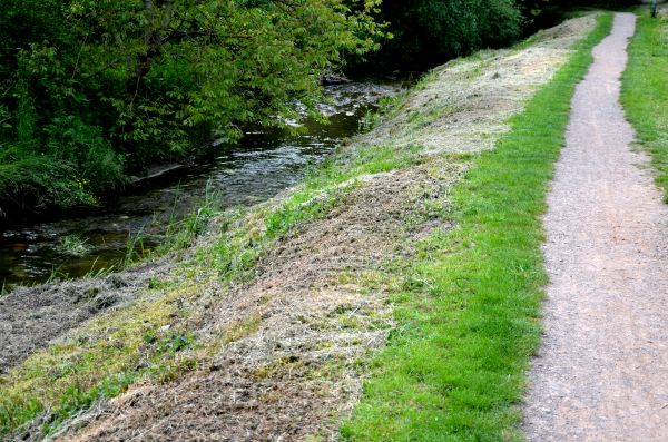 Cost of Trail Cutting in San Ramon